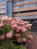 IMG_20171012_154300.thumb.jpg.3d08bdce283dbd3eaf530f34f493c3f9.jpg