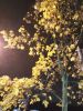 IMG_20171013_211108_HHT.thumb.jpg.abef09306fb8c308c3e8d0555164abb5.jpg