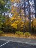 IMG_20171020_093637.thumb.jpg.40591e55ee23264f8bc750b0eff274f9.jpg