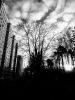 IMG_20171103_083153-EFFECTS.thumb.jpg.097801995e8c3f2bae418dc3a8ff6cd9.jpg