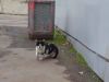 IMG_20171104_142659.thumb.jpg.349ba9147faf331ebd2f2fc5f6404a82.jpg