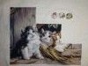 IMG_20171106_211331.thumb.jpg.0933c36dd8249ea8c3298663ba8490e9.jpg?1510117782346