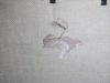 IMG_20171116_200930.thumb.jpg.feff08c9ed3a2eddd52d268bbb278242.jpg