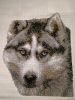 IMG_20171118_002753.thumb.jpg.dcaac58634d9a2c8e04b9aa87e8e1670.jpg