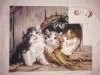 IMG_20171118_230611.thumb.jpg.6e4120e359f8c270abf8a9a14f2a7cb6.jpg?1511030589350