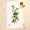 IMG_8982.PNG.5429369d2e89a022f4e31d014ed07750.PNG