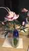 P_20170122_211509.thumb.jpg.f1b780accbc46c0d19cf8905a27afaf3.jpg