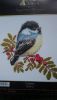 P_20171126_132112.thumb.jpg.5872a22ae1cda716bded9e5c875236a4.jpg
