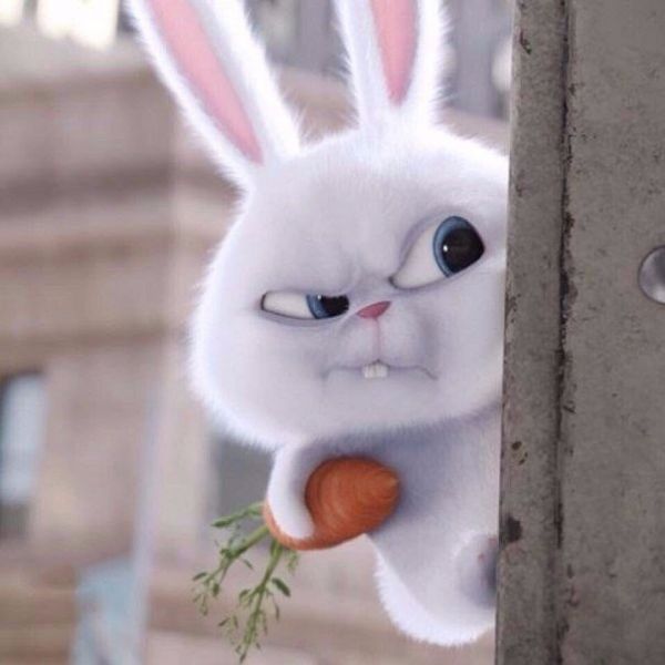 Аватар Lilolo