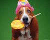 a-candy-for-you-with-love.thumb.jpg.17bc73fe416b78dcb3710d279eaaf062.jpg