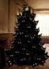 -Ln90oa1u_w.thumb.jpg.b29a30ef12b3f97ada49ff9efcc3f9cb.jpg