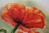 1.thumb.jpg.a830d08231b42efd233105158d673a9b.jpg