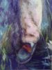1.thumb.jpg.c572082b73439955ca3dbafeff24fd4e.jpg