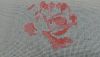1.thumb.jpg.dbefbe7626b4a0278f6c7c811be08147.jpg