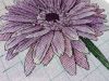 13.thumb.jpg.36be28b5dd87c1b66e31d9183883062f.jpg