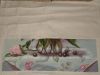 2.thumb.jpg.c18008d852dca6ff10baf7be6d1a2f6a.jpg