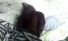 20161216_180506.thumb.jpg.30234842a3e663e5084914a65237963e.jpg
