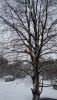 2017-12-04-10-51-15.thumb.jpg.b06804a3d48b79f4823b87d2ec739c0e.jpg