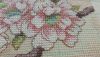20170708_160412.jpg