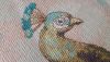 20170731_113915.jpg