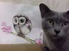 20170921_204759.thumb.jpg.81b047ead20db916c32295f35a2e6862.jpg