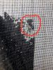 20171201_001256.thumb.jpg.d29c7515fa7a6be524f2c16eafca30dc.jpg