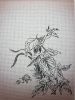 20171201_231845.thumb.jpg.8f3a723a52c4ab1281cd3a789694379d.jpg