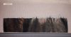 20171202_201532.thumb.jpg.8f81cabb4bb934062187903625655601.jpg