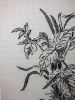 20171206_194955.thumb.jpg.515eac9b7397f24d26596c76308198ef.jpg
