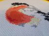 20171207_105336.thumb.jpg.647c4ee14df7784199ad233449672afd.jpg