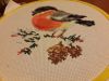 20171209_235146.thumb.jpg.ec26aa09679a518e6c033e80238973c5.jpg