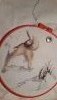 20171216_003649.thumb.jpg.8a56f8f7146ef564676dc1edecc69e80.jpg?1514027256585