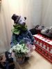 20171217_183243.thumb.jpg.9ee108da9f678e535e8f8dedd0b2f13d.jpg