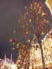 20171217_191303.thumb.jpg.acef1c301f511298efcbbd94444cd8b9.jpg