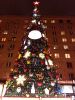 20171217_195405.thumb.jpg.b2538302c484ffda396785505472153a.jpg