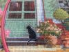 20171223_130210.thumb.jpg.0716500ec0efb754bc913962293ea7de.jpg