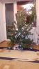 20171224_183056.jpg
