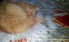 20171224_194759.thumb.jpg.86817b446dba7afc1273269ef1448a67.jpg