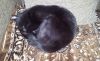 20171224_194808.thumb.jpg.07c9510c8dd4d893f8216aed74dff747.jpg