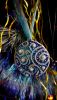 20171225_123503.thumb.jpg.3e782cf94a64a8a86a689107db0bff84.jpg