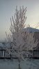 20171225_140743.thumb.jpg.b4e290d77a35b12b8637bd072e9256b4.jpg