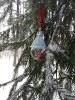 20171226_095945.thumb.jpg.d8691035ba8316893495e0f5a8da6555.jpg