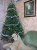 20171228_001454.jpg