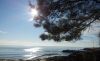 20171228_133044.thumb.jpg.ed183cae26c80ec24996d162cd719de0.jpg