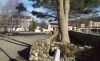 20171228_133223.thumb.jpg.34c63a983183a45c6151764eaa0a5cf1.jpg