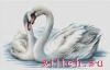 26861.thumb.jpg.9ac662c782189edf6b962fb2f456a4e7.jpg