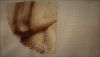 2qDmrubk65g.thumb.jpg.9c29b60e79a9d95669e7f4f3843b8d95.jpg