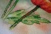 3.thumb.JPG.a393abcce0db575928aaacf75e847d2b.JPG
