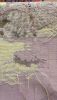 4F331D5C-F1D7-4A6E-AE19-4541169A554F.jpeg