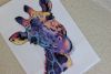 5.thumb.jpeg.21fa1bf6a5ac44617db429d71984e19f.jpeg